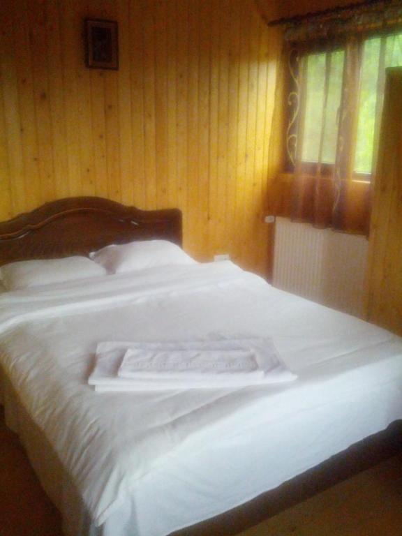 Pensiunea Magdalena Cîmpulung Habitación foto