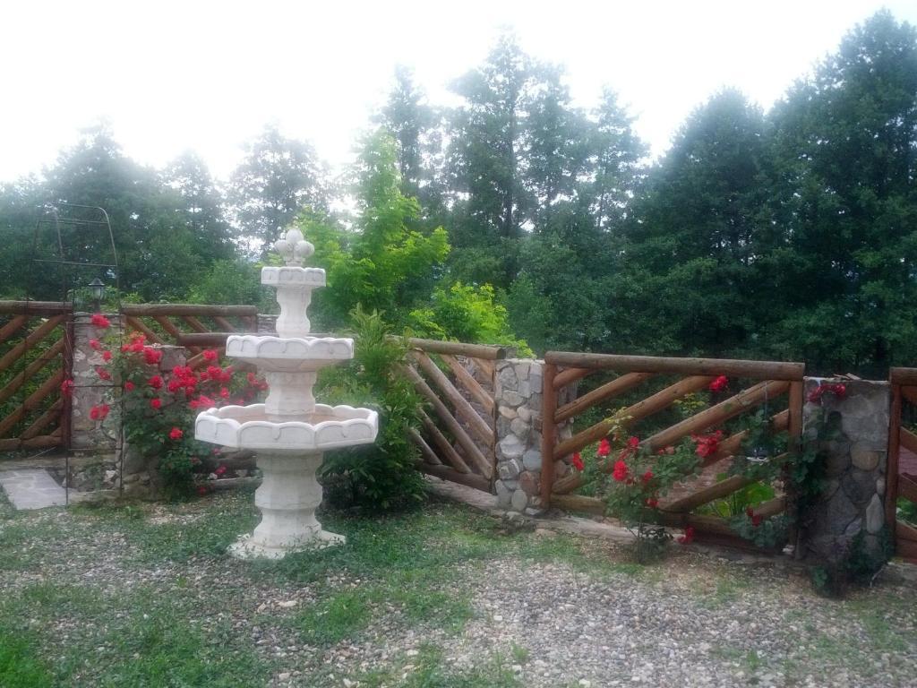 Pensiunea Magdalena Cîmpulung Exterior foto